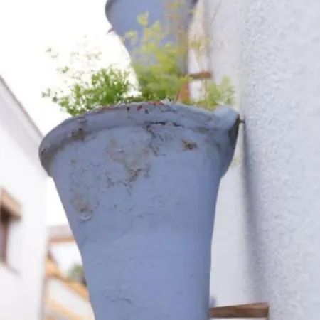 El Embrujo De Apartament