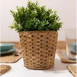 Apartamento El Embrujo De *