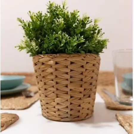 شقة El Embrujo De *