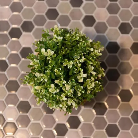 El Embrujo De شقة قرطبة